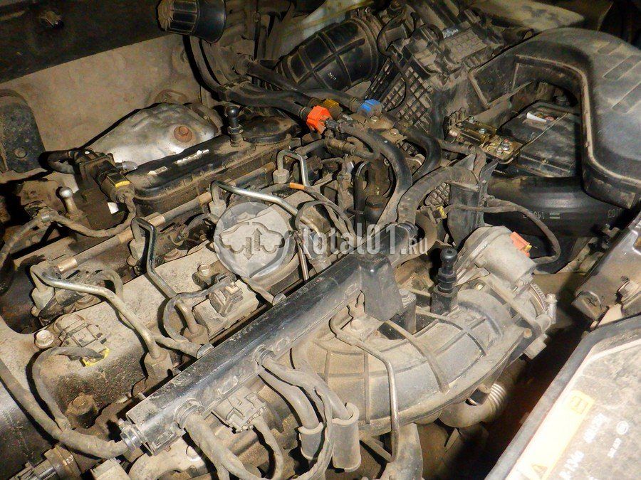 Фото KIA Sorento 272