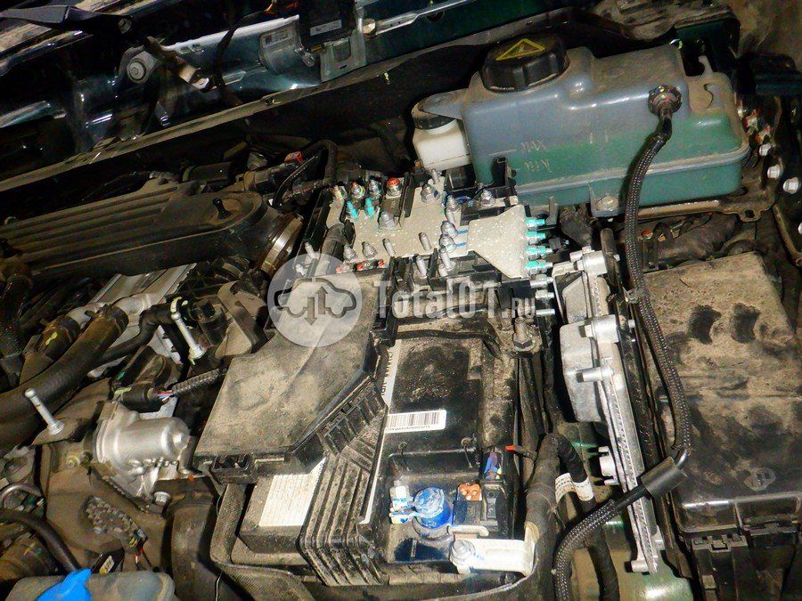 Фото TANK 700 348