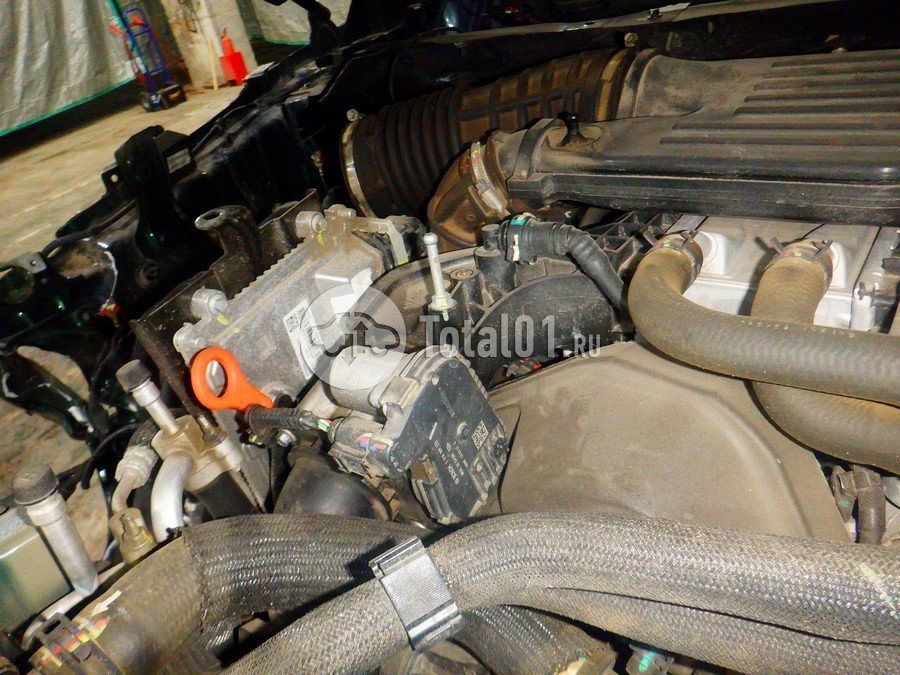 Фото TANK 700 376