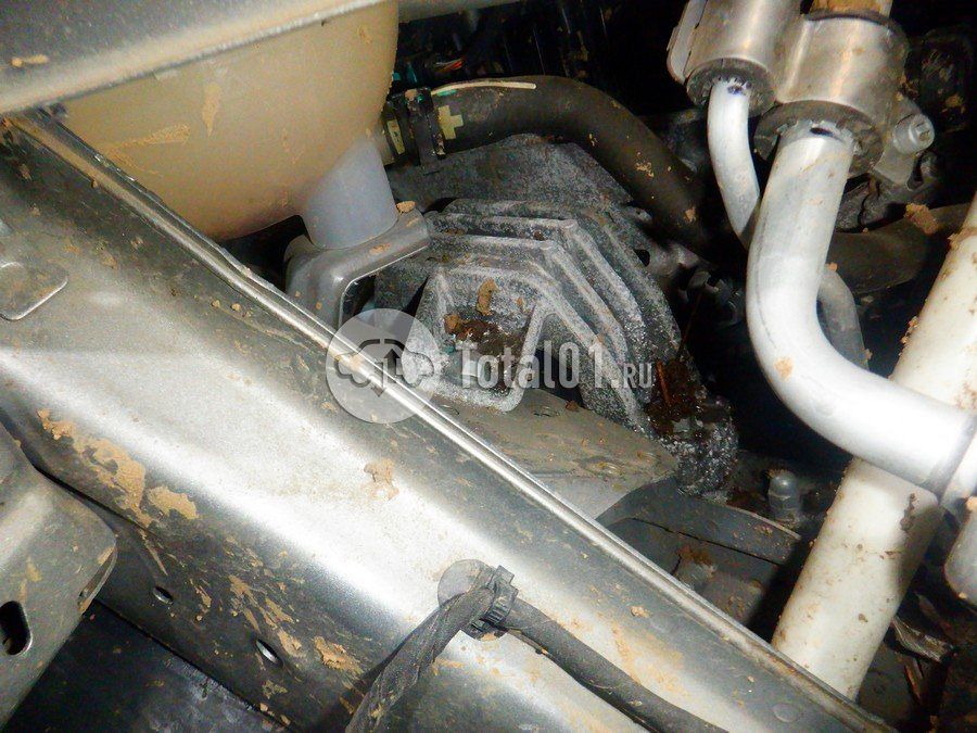 Фото OMODA C5 294