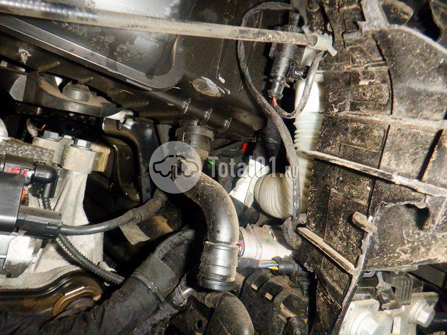 Фото Audi Q3 248