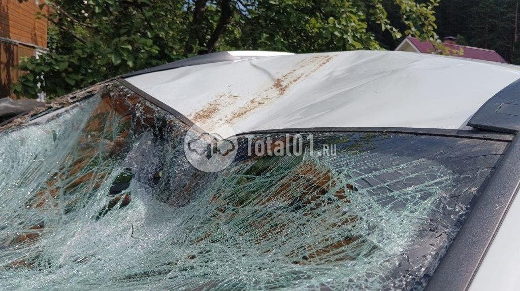 Фото Haval M6 98