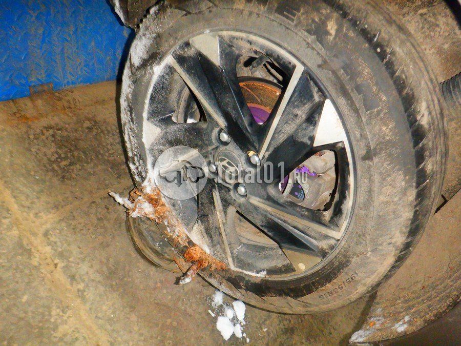 Фото Hyundai Solaris 148