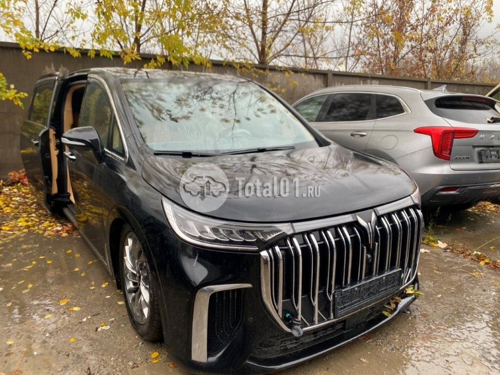 Фото Voyah Dreamer 42