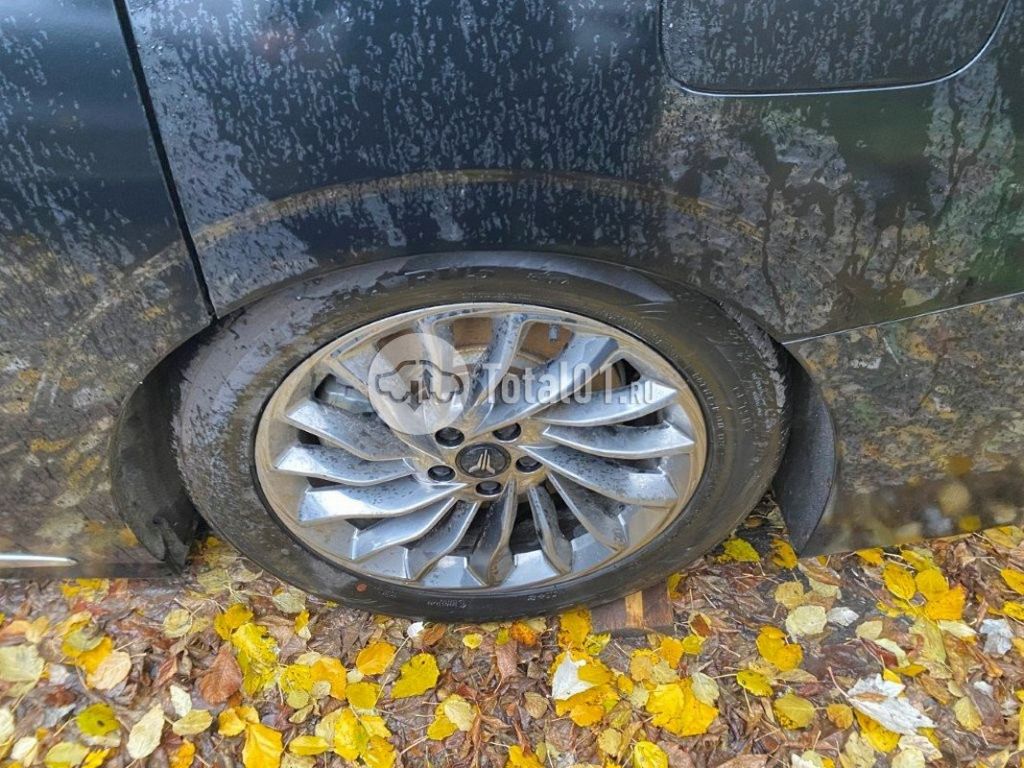 Фото Voyah Dreamer 60