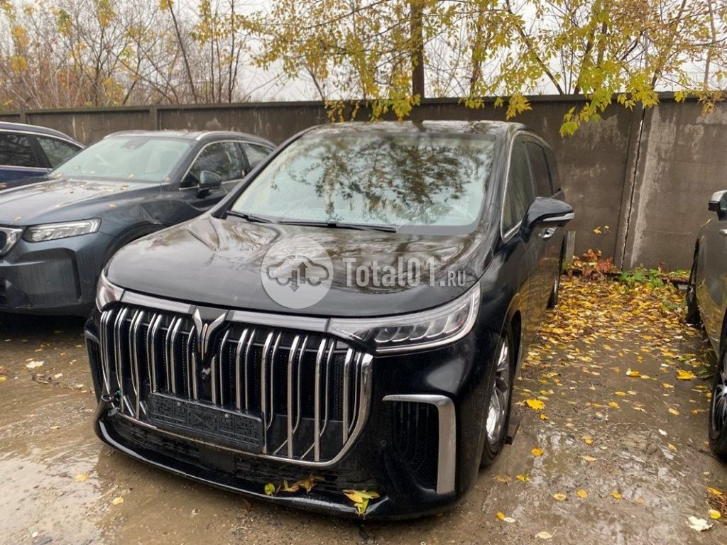 Фото Voyah Dreamer 72