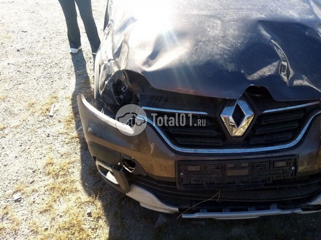 Фото Renault Logan 28