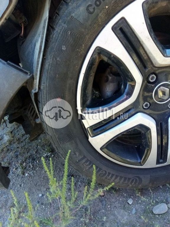 Фото Renault Logan 210