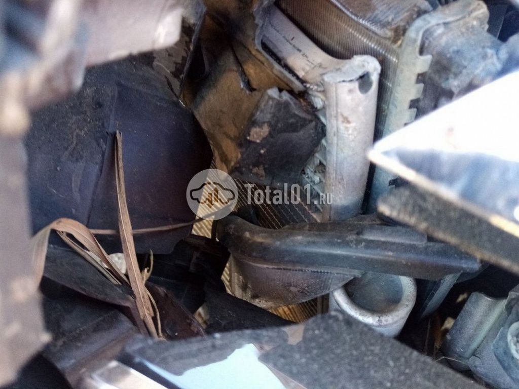 Фото Renault Logan 336