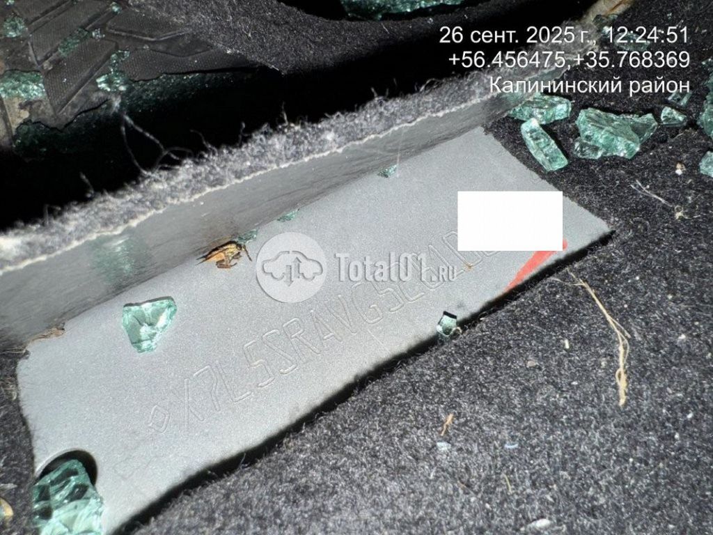 Фото Renault Sandero 8