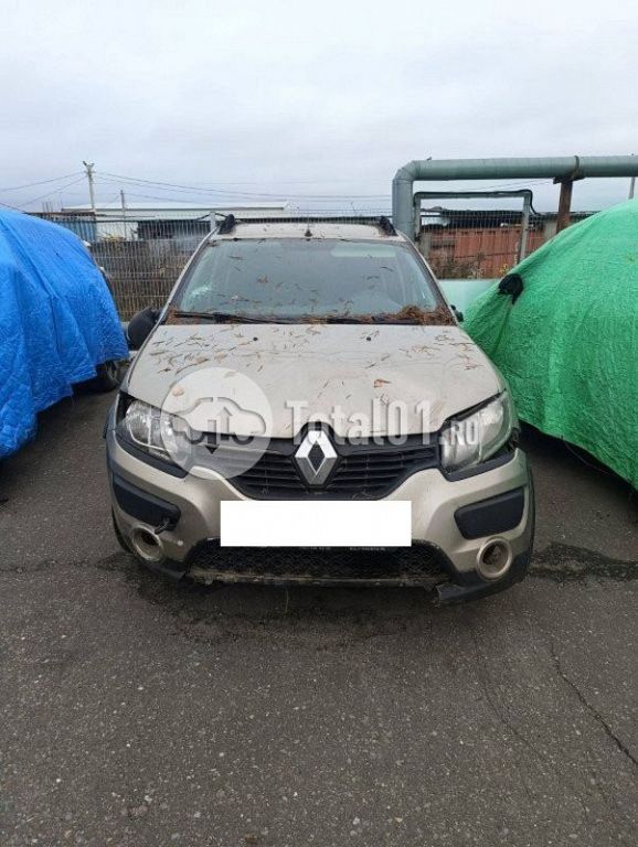 Фото Renault Sandero 12