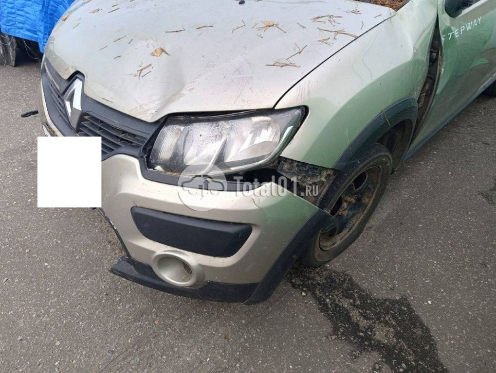 Фото Renault Sandero 14