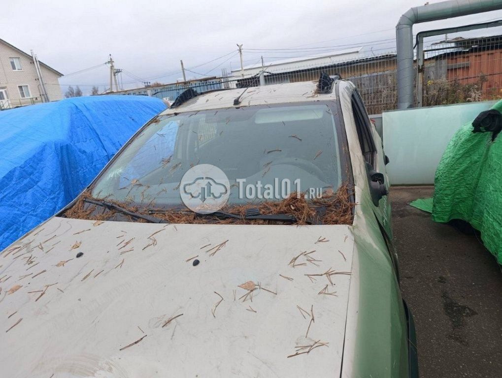 Фото Renault Sandero 16