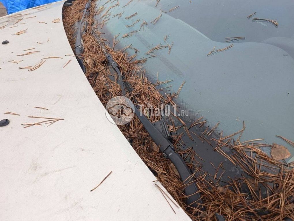 Фото Renault Sandero 18