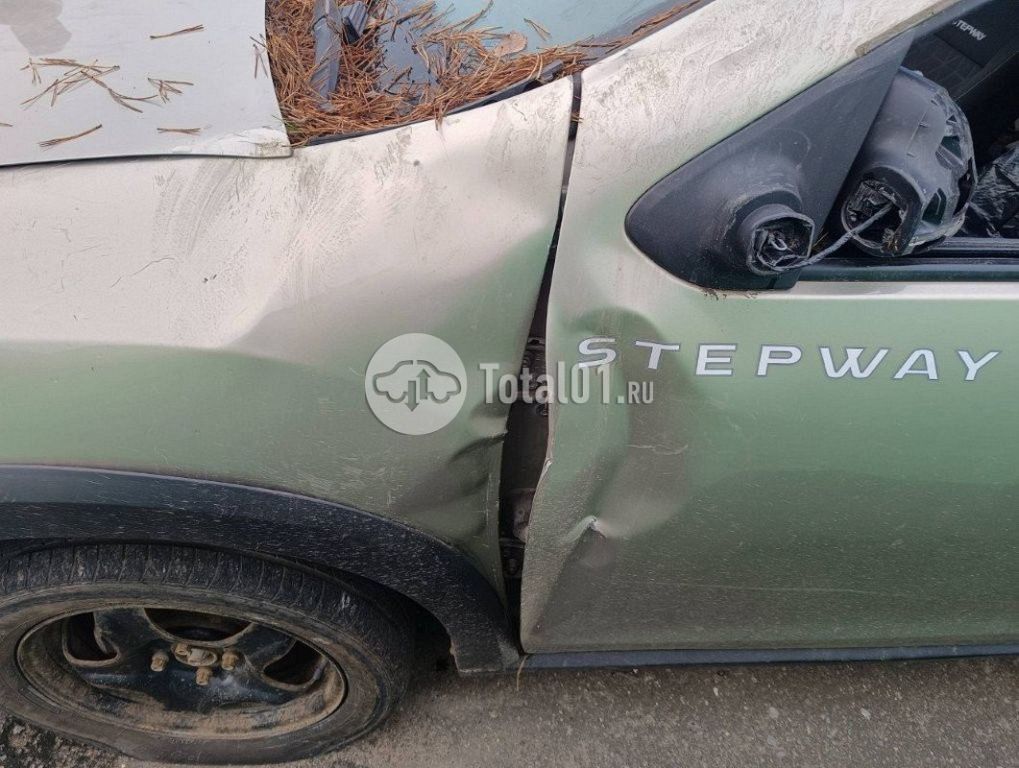 Фото Renault Sandero 24