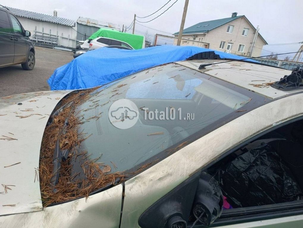 Фото Renault Sandero 26