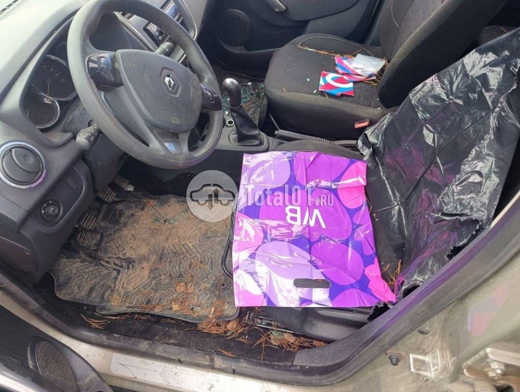 Фото Renault Sandero 46