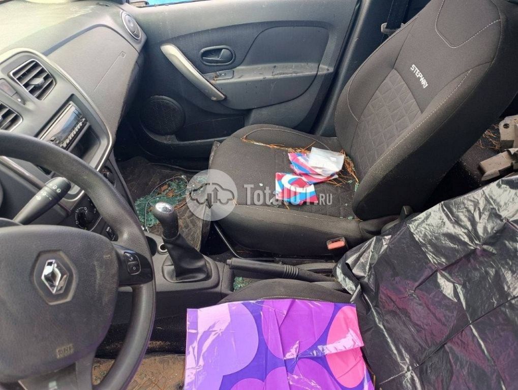 Фото Renault Sandero 48