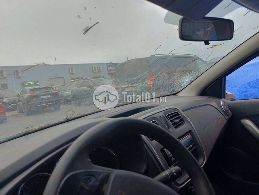 Фото Renault Sandero 52