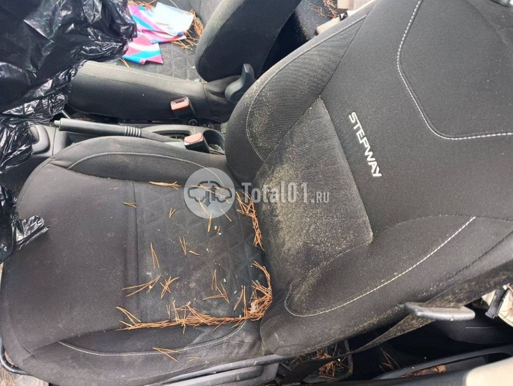 Фото Renault Sandero 60