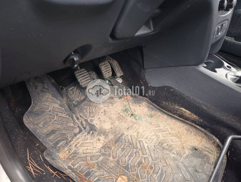 Фото Renault Sandero 62