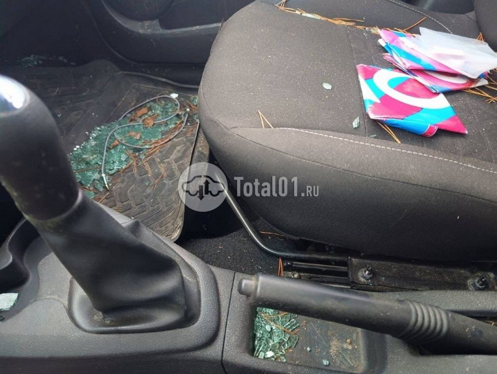 Фото Renault Sandero 64