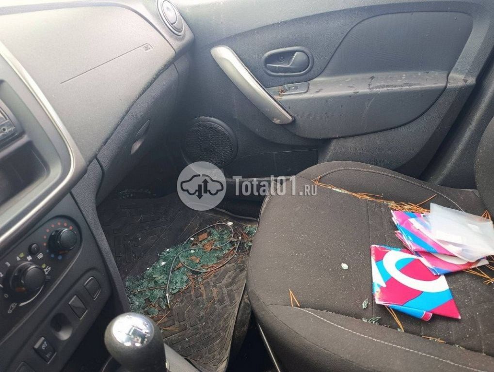 Фото Renault Sandero 66