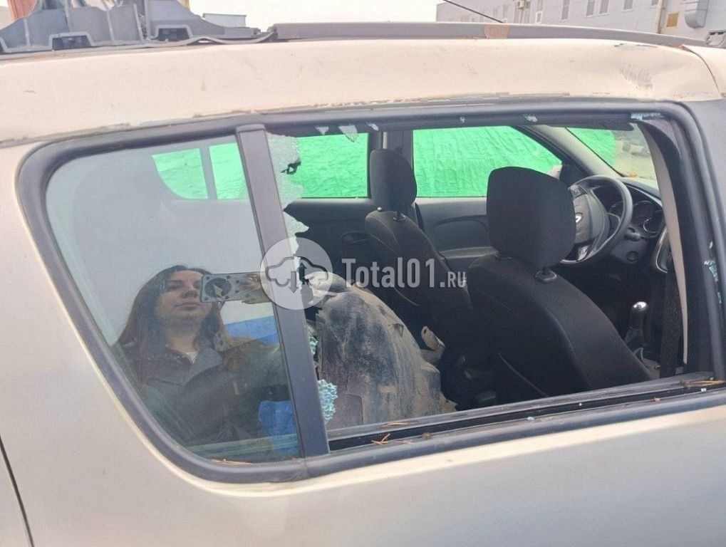 Фото Renault Sandero 110