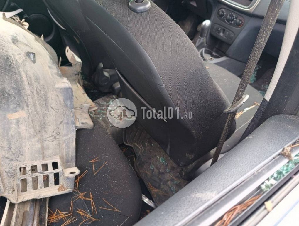 Фото Renault Sandero 114