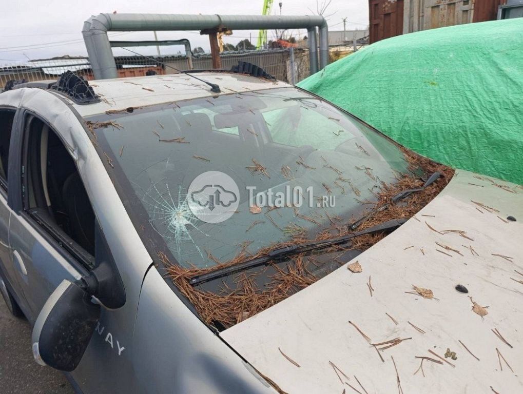 Фото Renault Sandero 122