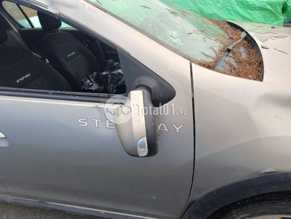 Фото Renault Sandero 124