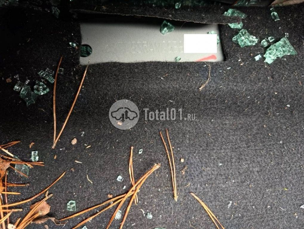 Фото Renault Sandero 144