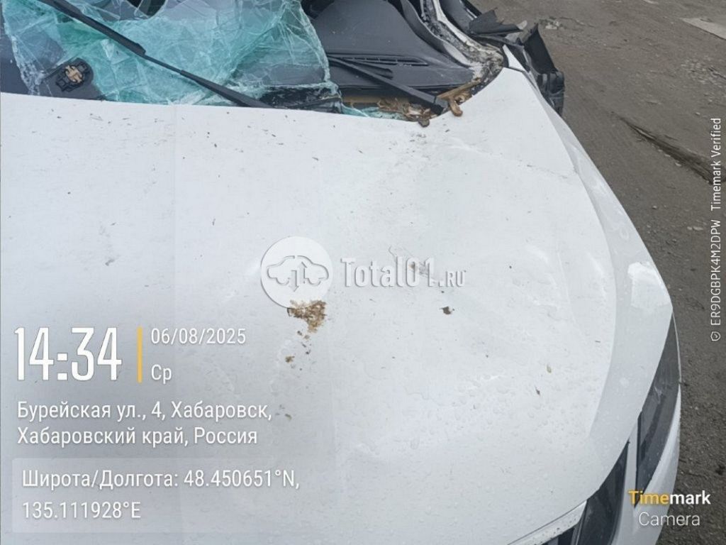 Фото Skoda Octavia 14