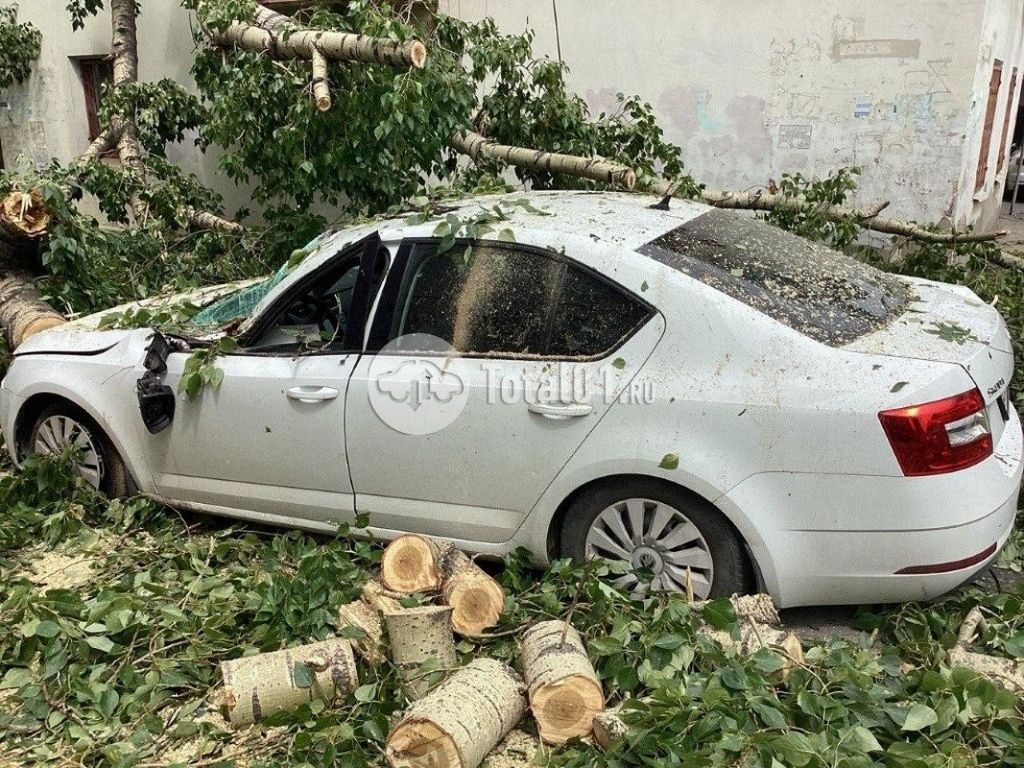 Фото Skoda Octavia 28