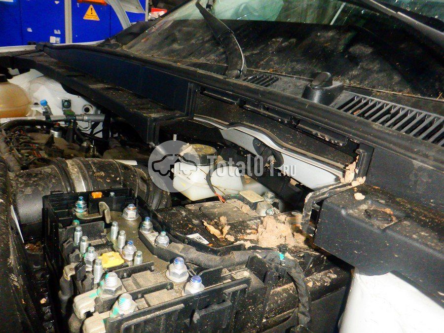 Фото Geely Cityray 268