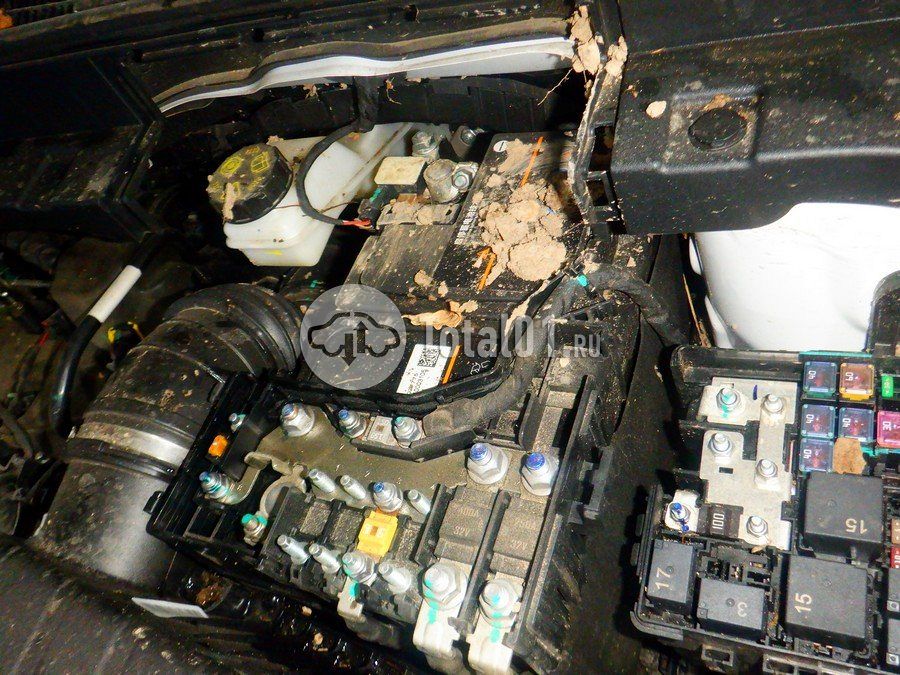 Фото Geely Cityray 278