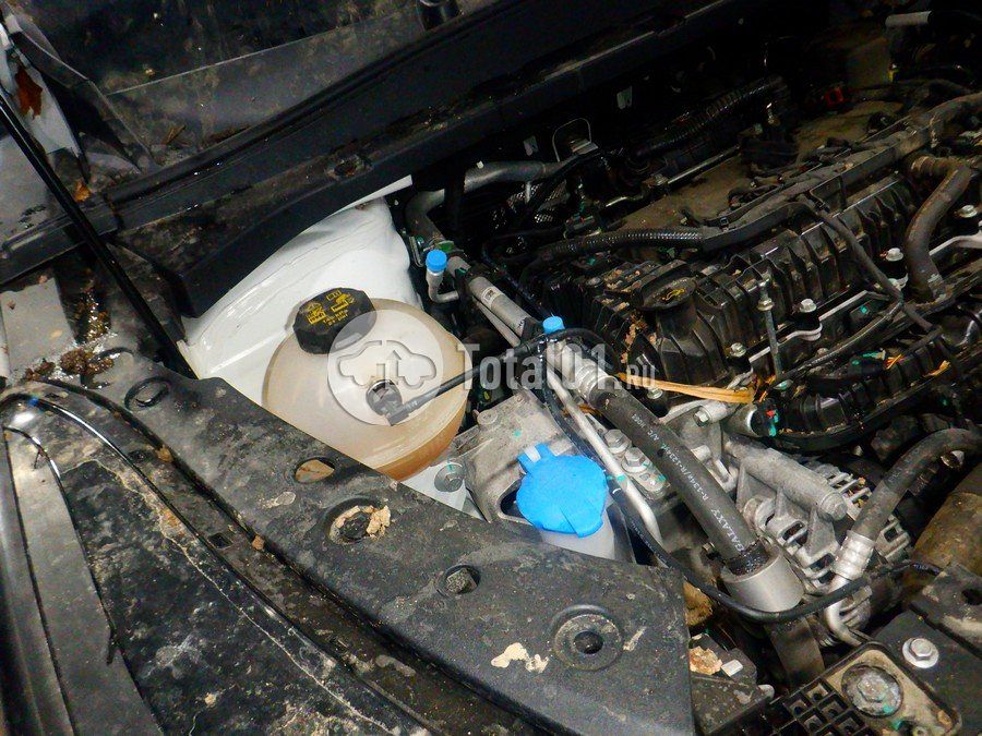 Фото Geely Cityray 324