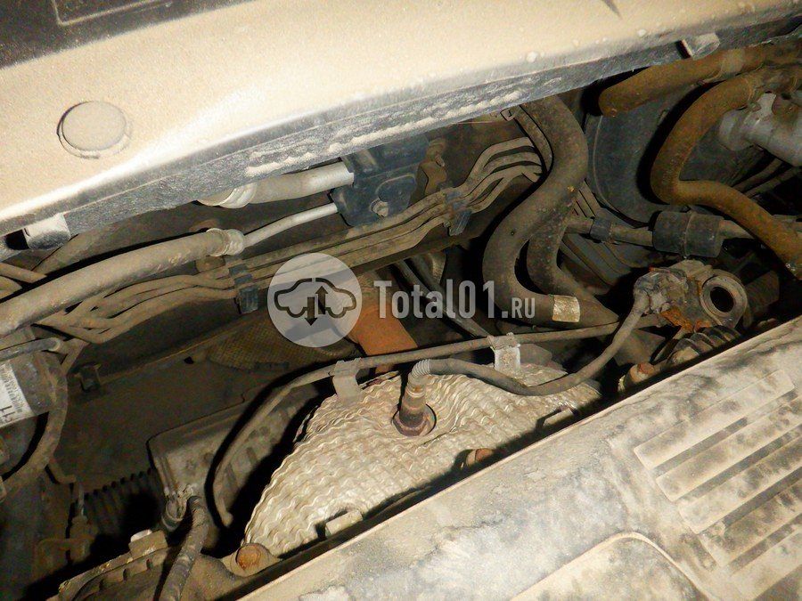 Фото KIA Sportage 296