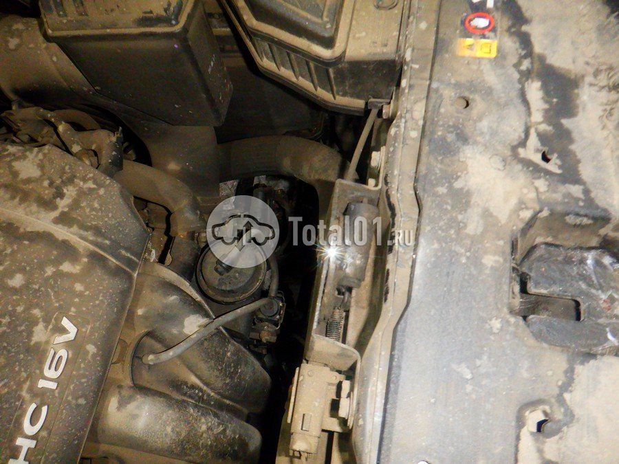 Фото KIA Sportage 304