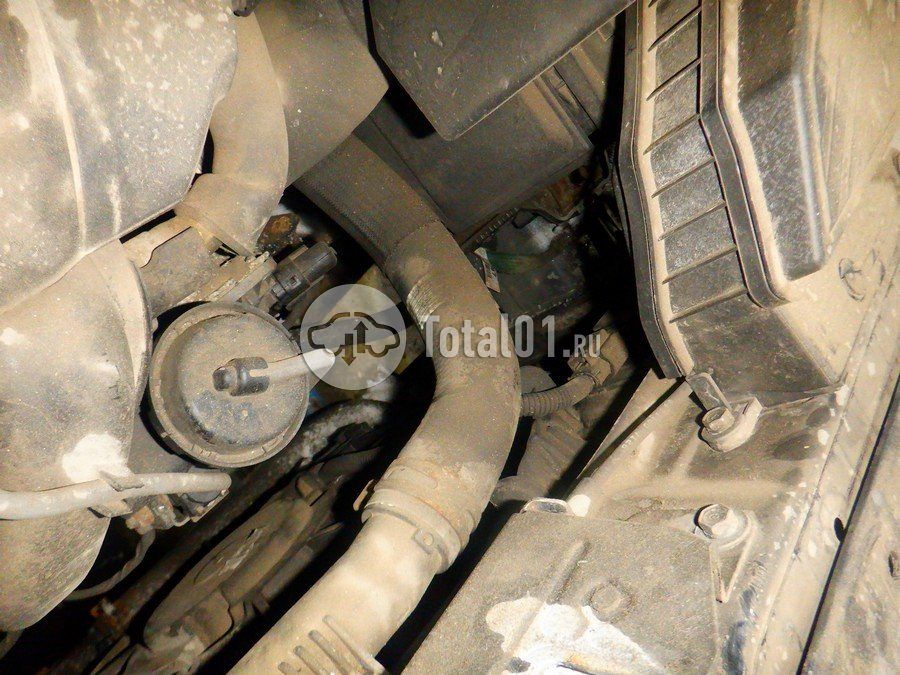 Фото KIA Sportage 308