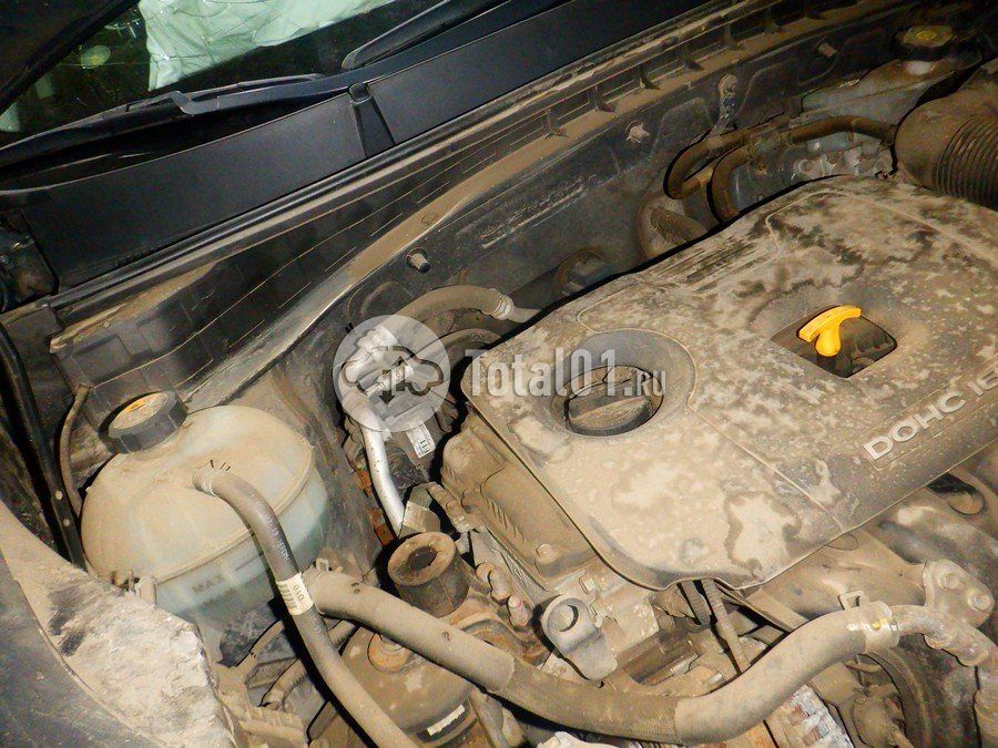 Фото KIA Sportage 312