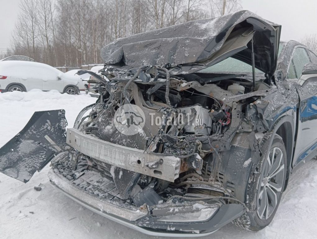 Фото Lexus RX 24