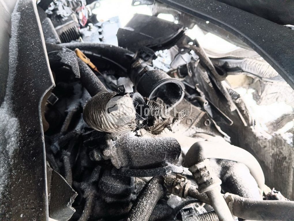 Фото Lexus RX 94