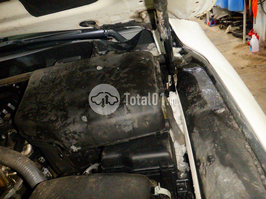 Фото Toyota Land Cruiser 242