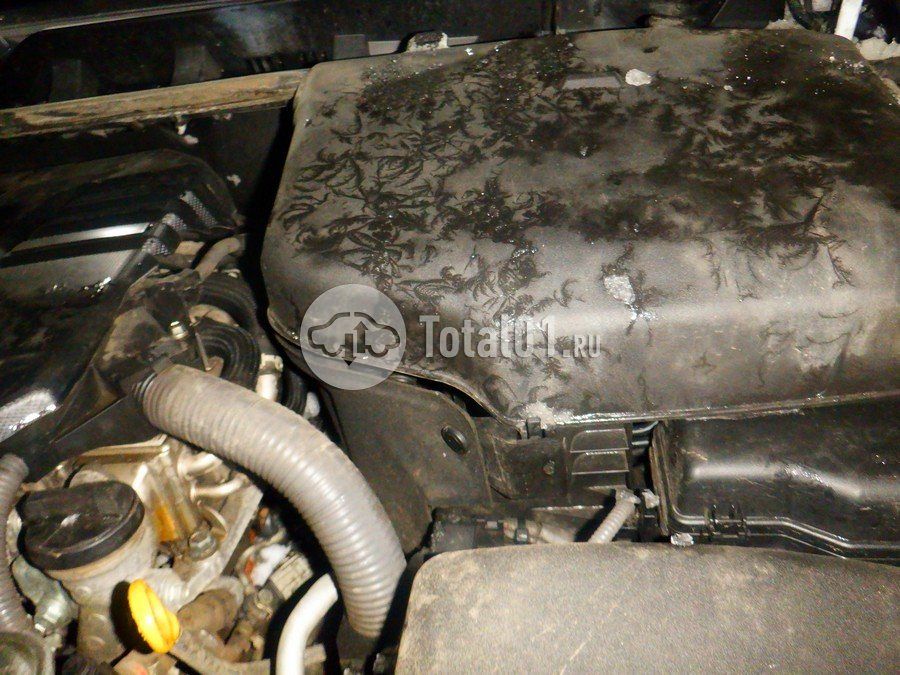 Фото Toyota Land Cruiser 244