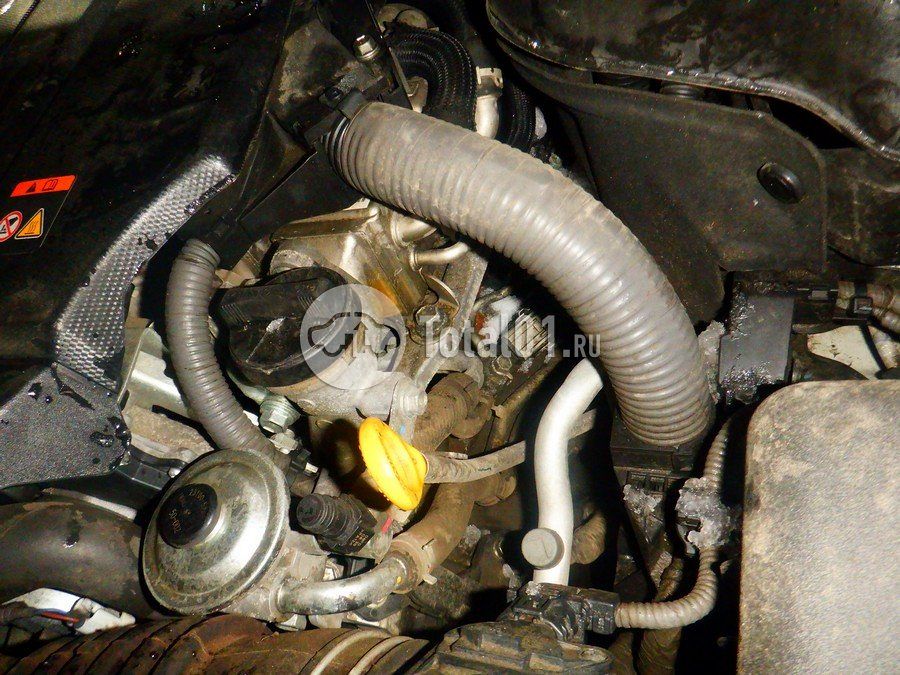 Фото Toyota Land Cruiser 250