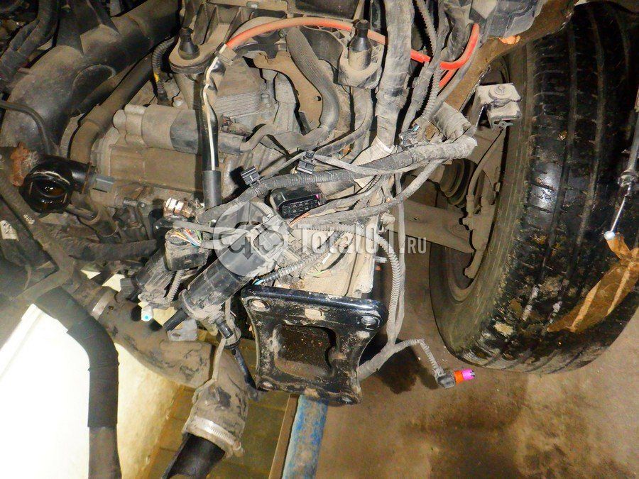 Фото Volkswagen Tiguan 184