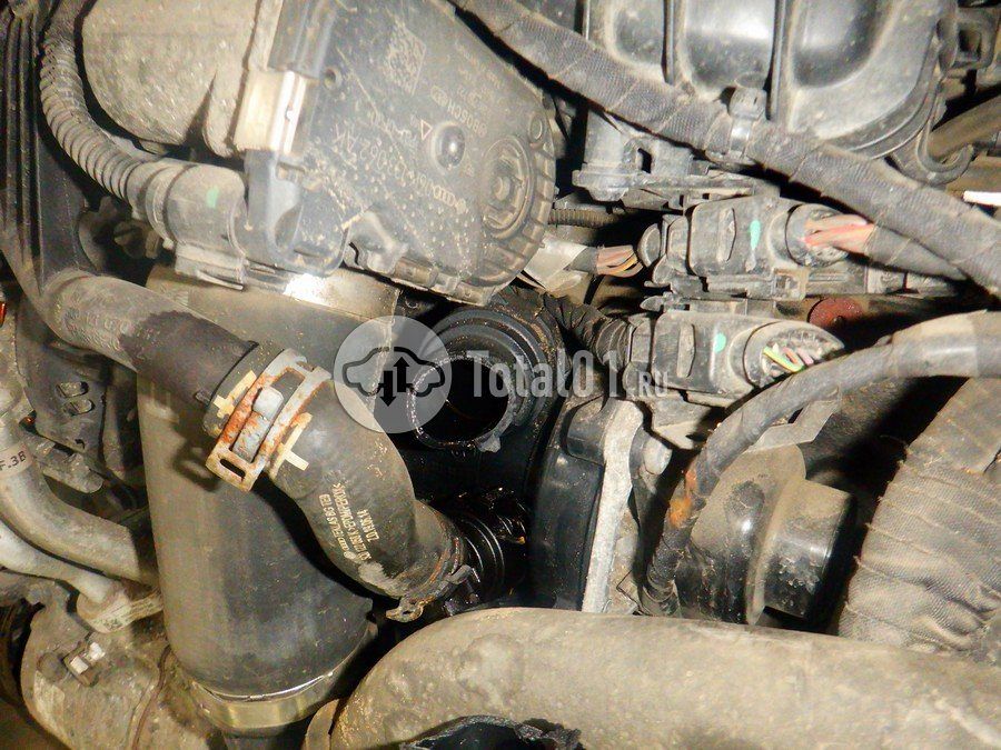 Фото Volkswagen Tiguan 196