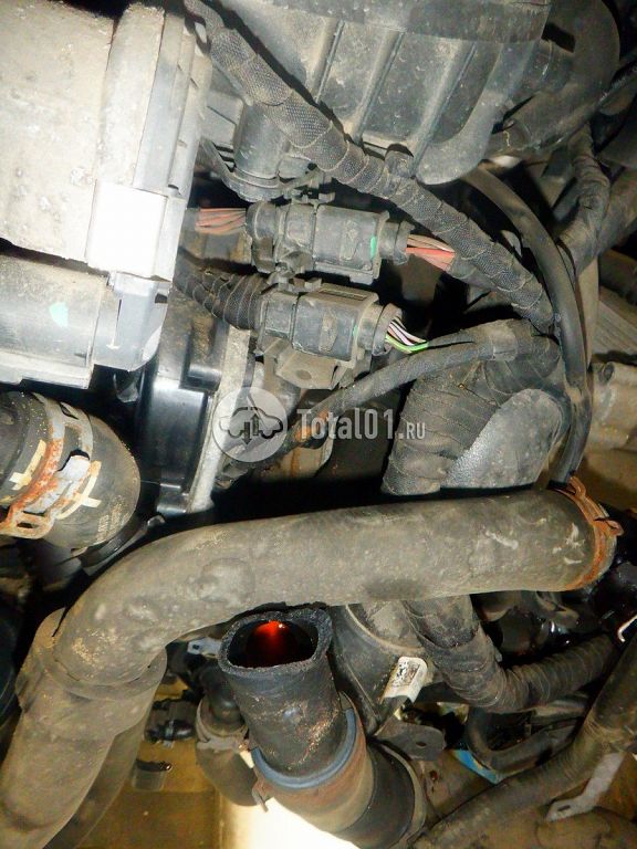 Фото Volkswagen Tiguan 222