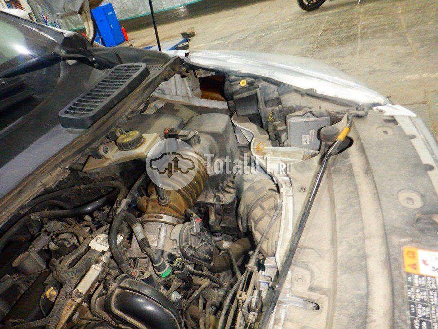 Фото Ford Kuga 232